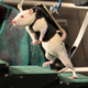Illustration for article titled Groundbreaking rat experiment offers new hope for paralyzed humans